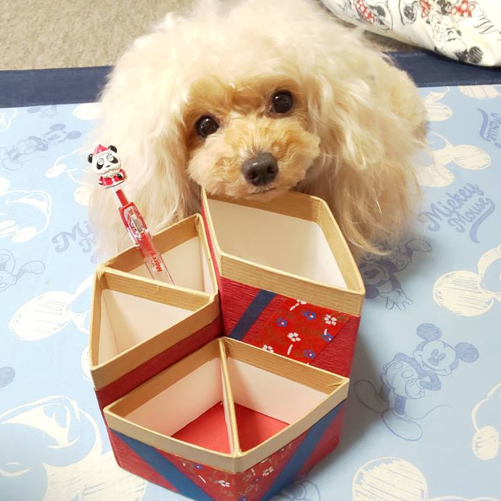 64d15e2a 2368 4661 8dbd f4bf1a319a11 1624262163623