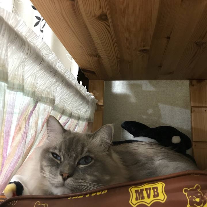 64d19324 7903 4ef0 8fd8 0547c765e0dd 1511694121703