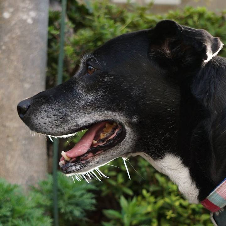 64d1a29f 4d88 4d39 9334 95c13245284a 1761611260582