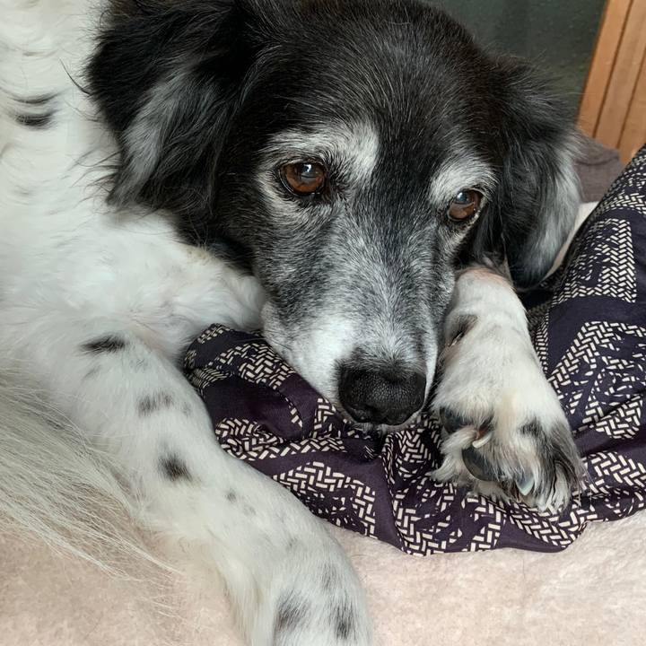 64d1a790 3e63 4bba 87aa d6ae01b6a00e 1579930269360