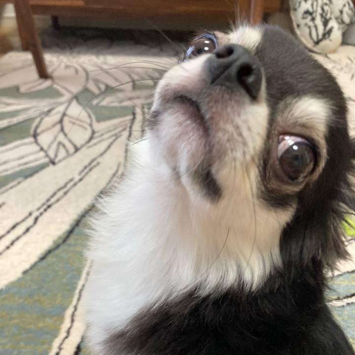 64d1b328 58de 450e a46b de1503d17dc9 1627167574915