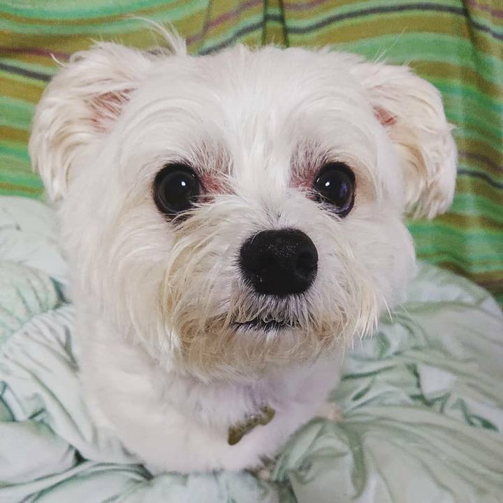 64d1b6da f3ba 4b03 9588 fcfe6a6908f2 1562376056683