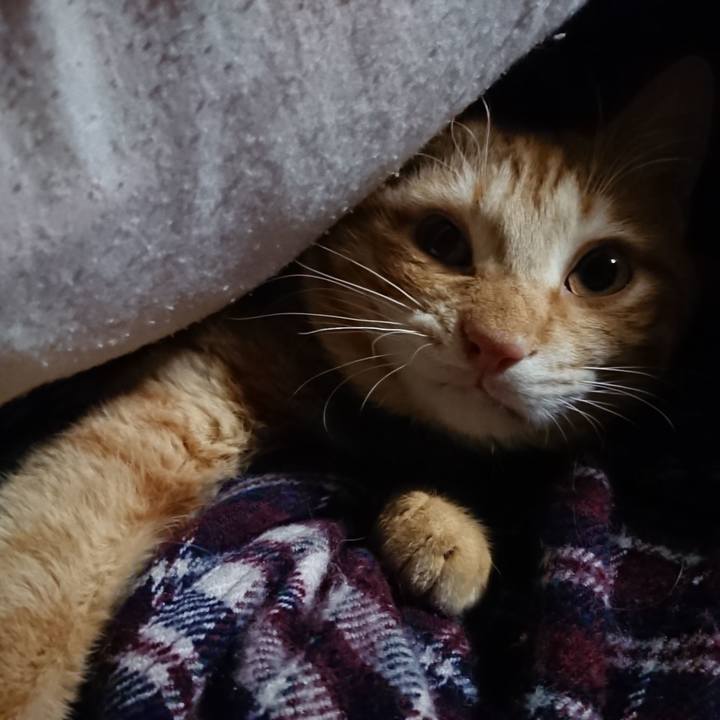 64d1bb30 f8ee 4c51 a64d da7682e41de0 1646599746852