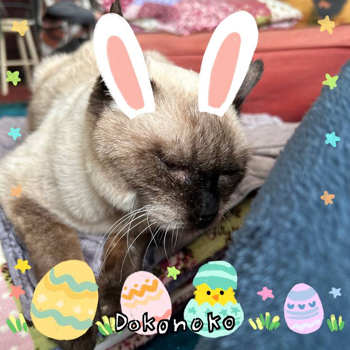 64d1c58e 1861 4991 9ae9 dd0fb07ae828 1712361885680