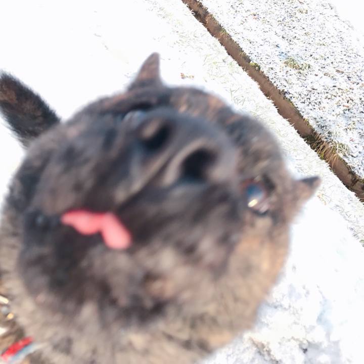 64d1ea69 edec 411a aa3e 059c9b247870 1519173453462