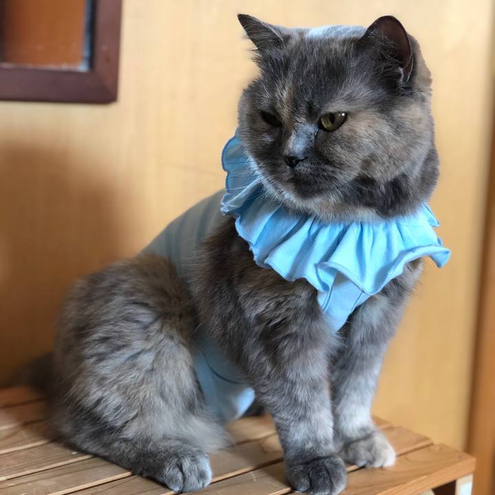 64d1f009 d483 4637 8ddd c7f7bb566931 1665924832939