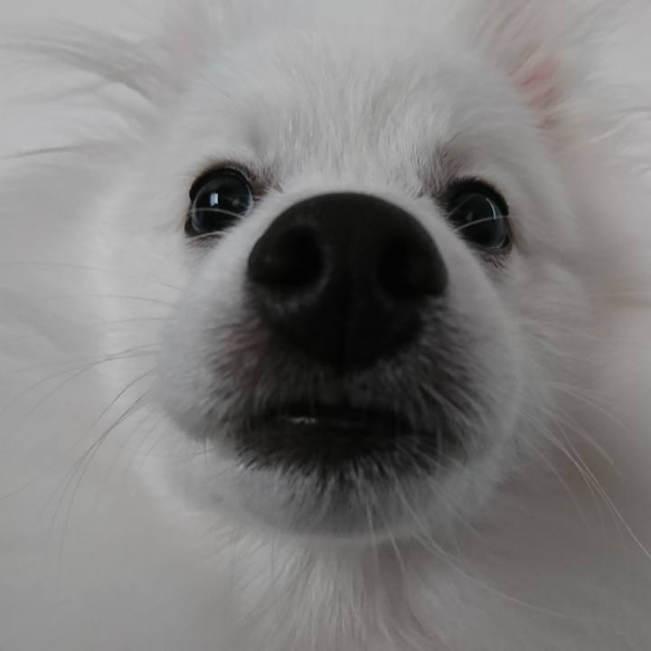 64d1ffa0 37cc 4c76 8013 84f7ba970b5b 1555648361783