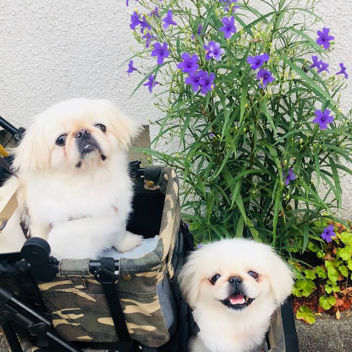 64d20443 d5fd 477d 8b1f 3d31049aeb2b 1598915088121