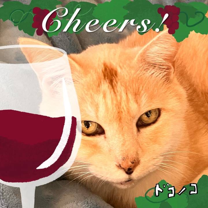 64d25493 02dd 4447 b21f 8791bcc3b4af 1763988437755