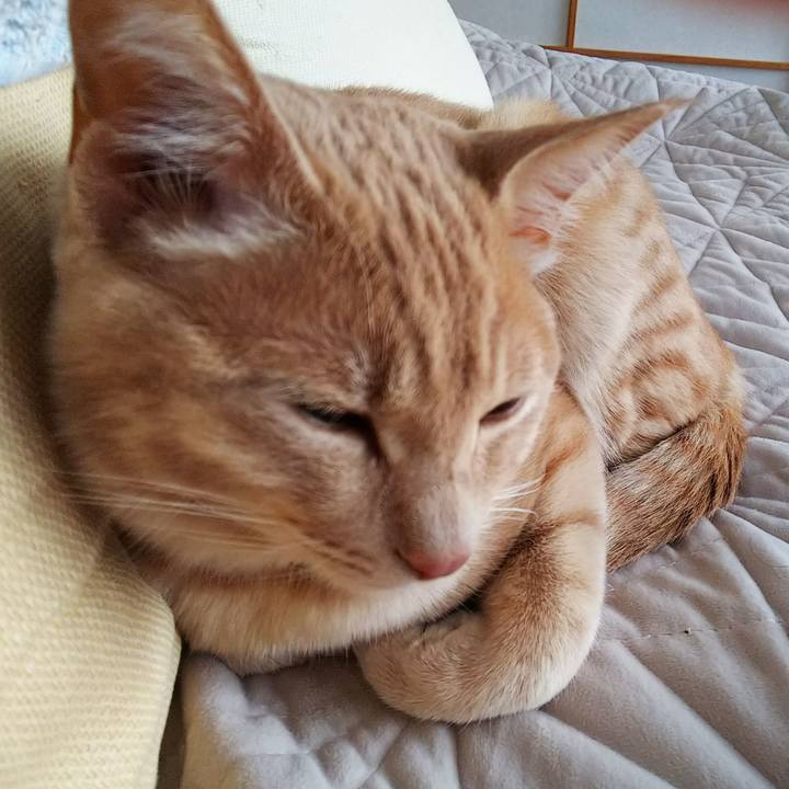 64d27c36 e86a 40be 8281 8ea3d514db40 1549340648204