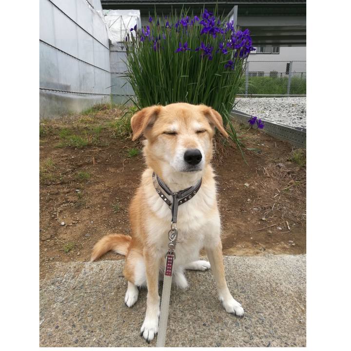 64d28e2a 2efa 44b6 83e0 89062d9d28b6 1524822697908