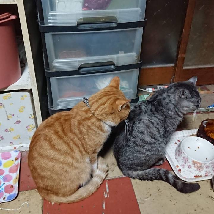 64d290f4 915f 48fd a696 af2c0ff75e5e 1604002361976