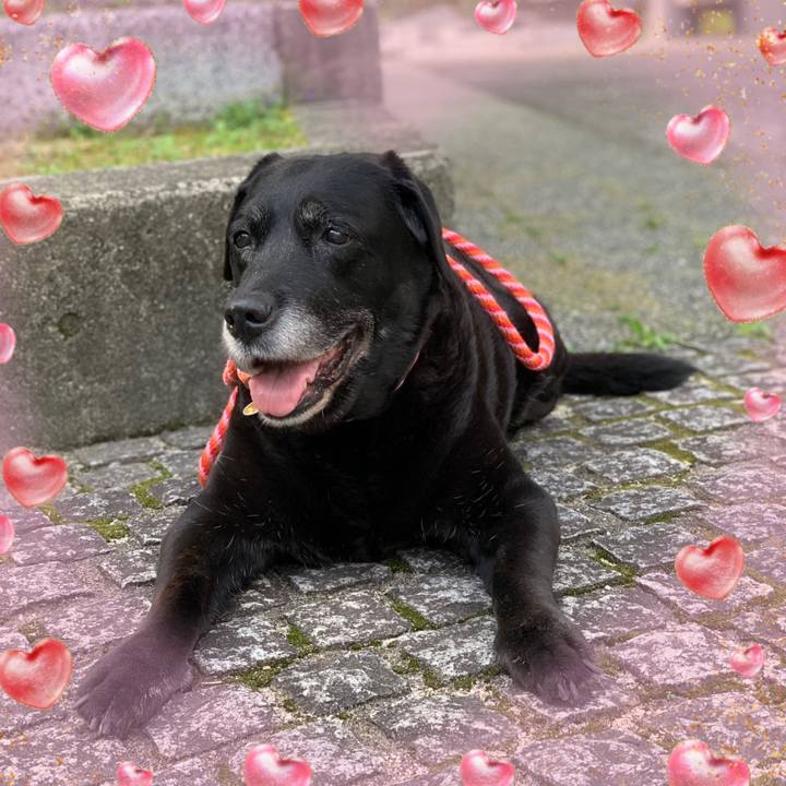 64d2b25e e9f1 452d 9748 aa2475b5d7d7 1617406328578