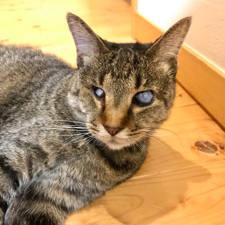 64d2d37d 0d78 4681 b51f f6d755d3273f 1624582812136