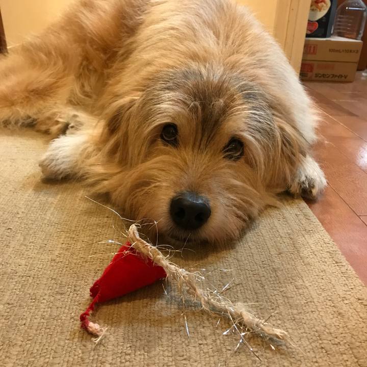 64d2e6ad a819 42d3 b46f 18bfef5e1e70 1640425428318