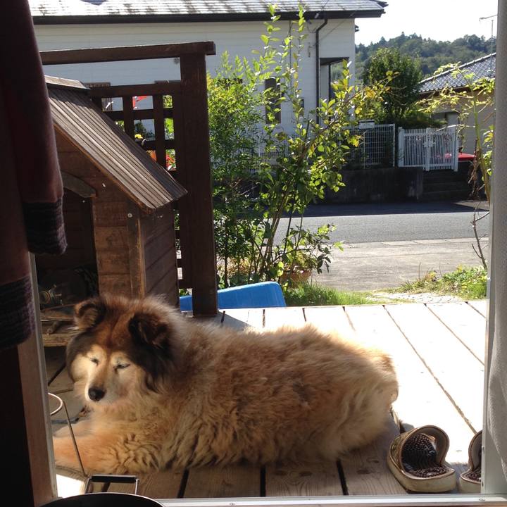 64d34020 313f 4f15 b318 e153f583dd83 1547855969569