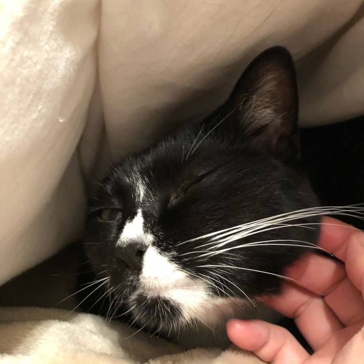 64d343bd 6c16 4712 8a09 9777f269ad52 1543963002854