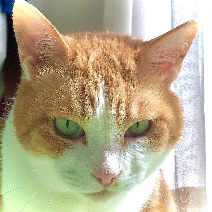 64d356bb d020 4a79 b693 3b3dd6f0ad95 1588143953972