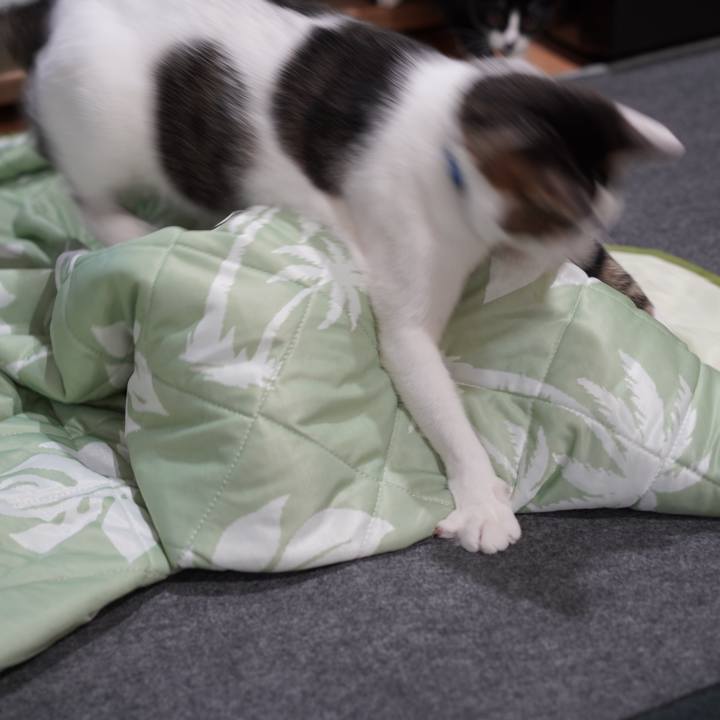 64d364cd 9ce9 4e1f b5bb e012b01c6438 1576194578604