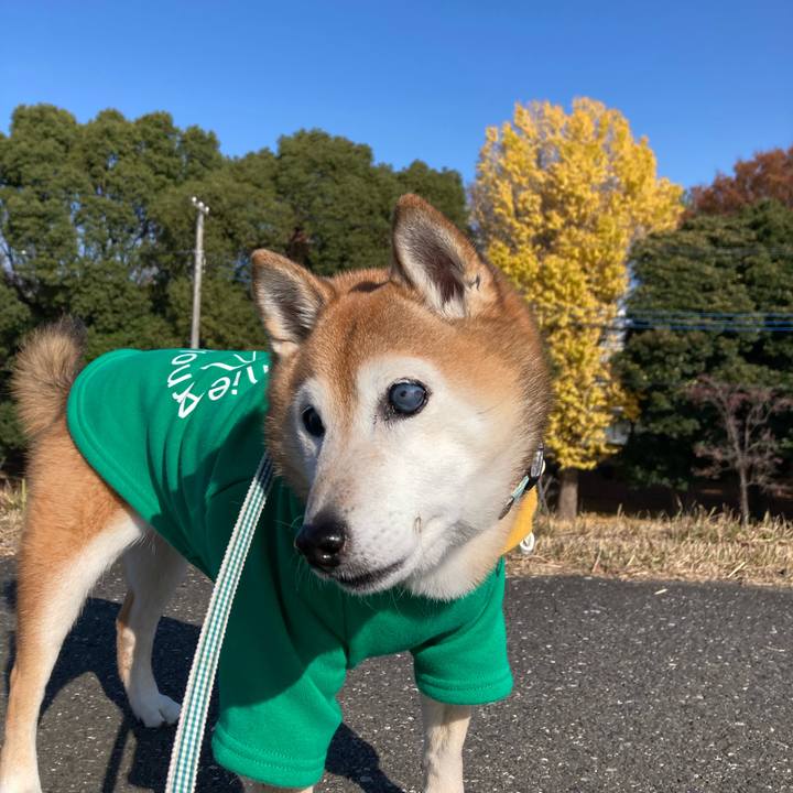 64d36583 4ef5 4178 8cae faec6266219f 1764218267790