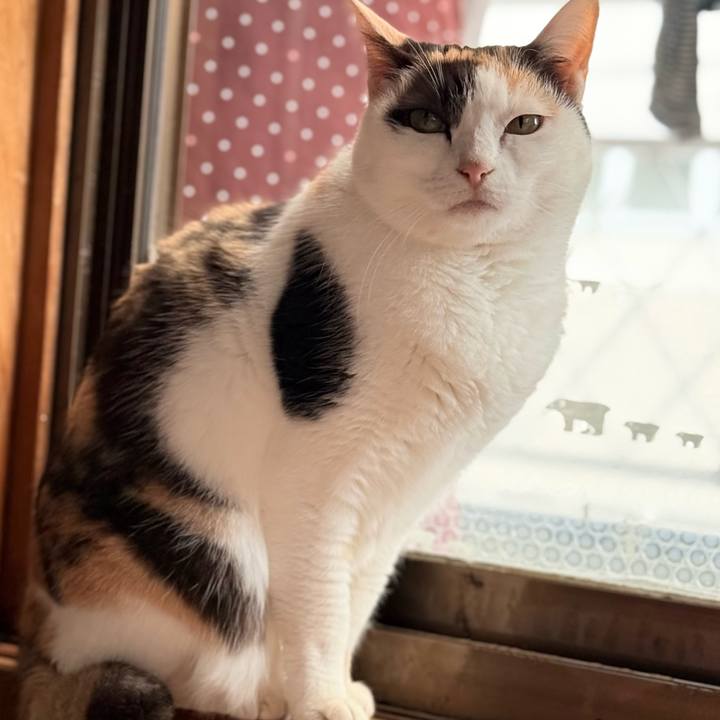 64d39890 fe81 4e7d ad0a 8fe641b7ebf4 1773538318975