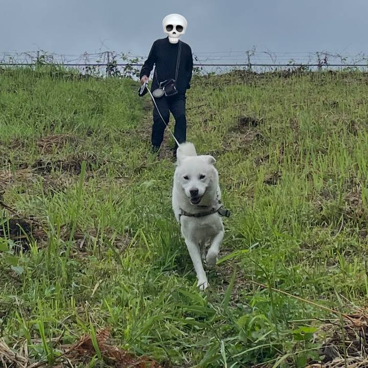 64d3b92d 9b24 4078 98a7 944dc3dbdd40 1748146849036