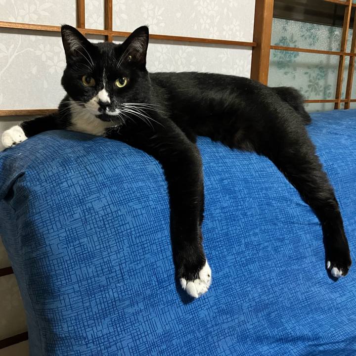 64d3c429 5c41 4998 8849 47778ccce565 1759375192415