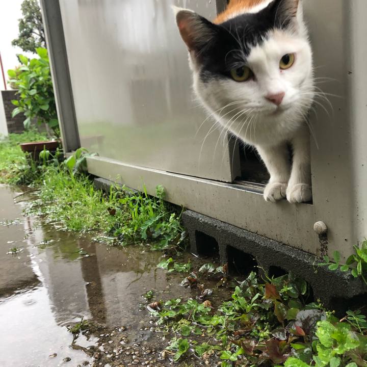 64d3c89d 3648 406f 8490 68fc97574177 1616888769889