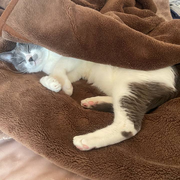 64d3cb58 5209 4414 a620 043781e321e7 1644967568128