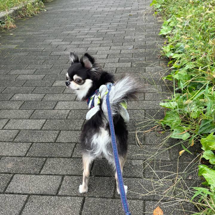 64d3cbfb 96ec 411e bf25 acdf43bc7d54 1727539808317