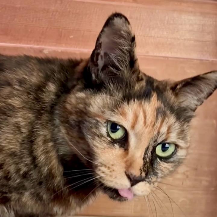 64d401c4 67e8 4f18 b735 806d381c8cba 1746668633960