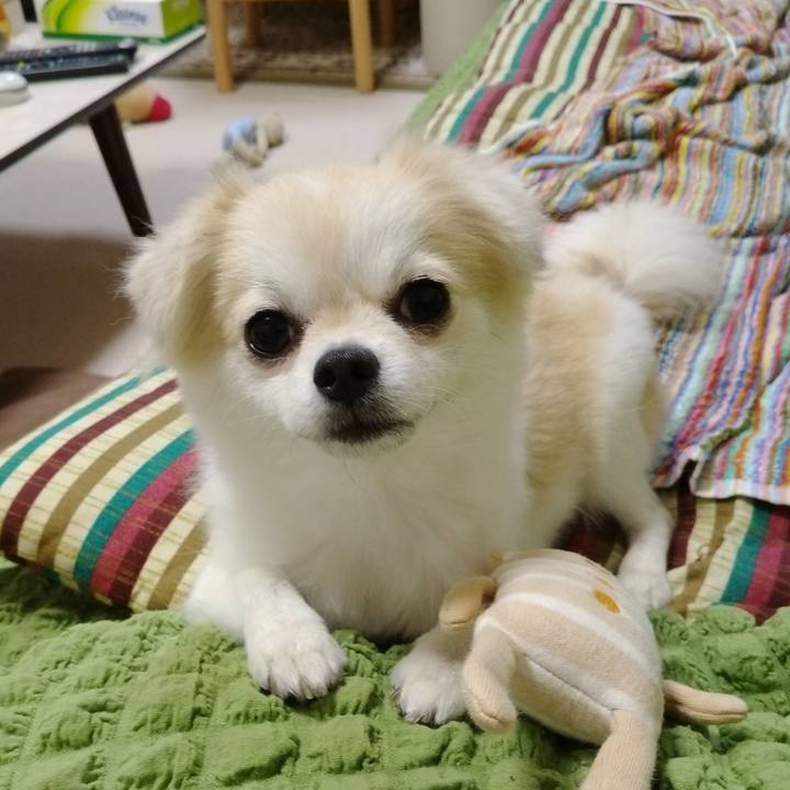 64d42e90 465f 4259 958c f66de4eb059f 1629113436372