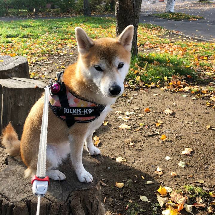 64d430b6 105a 4d3a 84ab d8aa2d9f0e4d 1571875376347