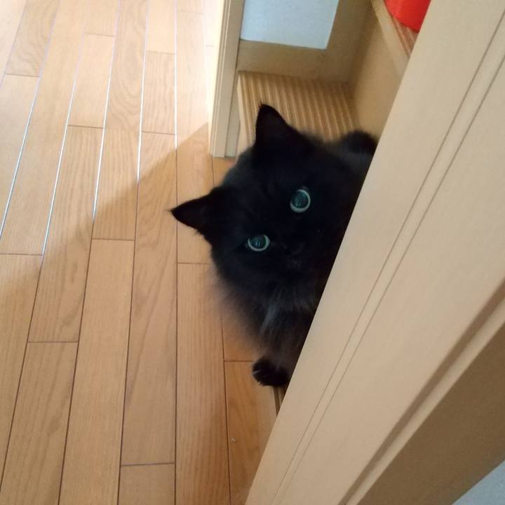 64d45001 6968 410b 8b15 54136c93df36 1634165045628