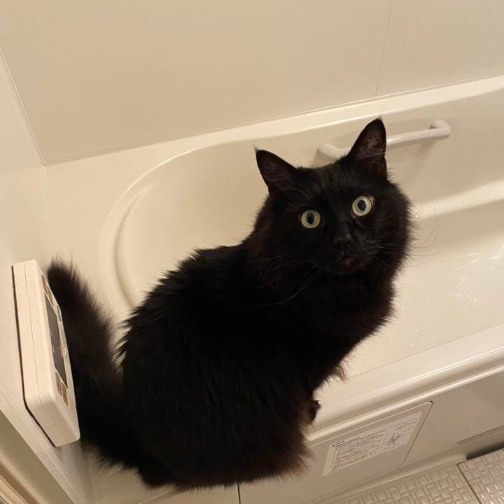 64d46213 2415 4fa8 8932 c7e8c7a5f418 1593943082360