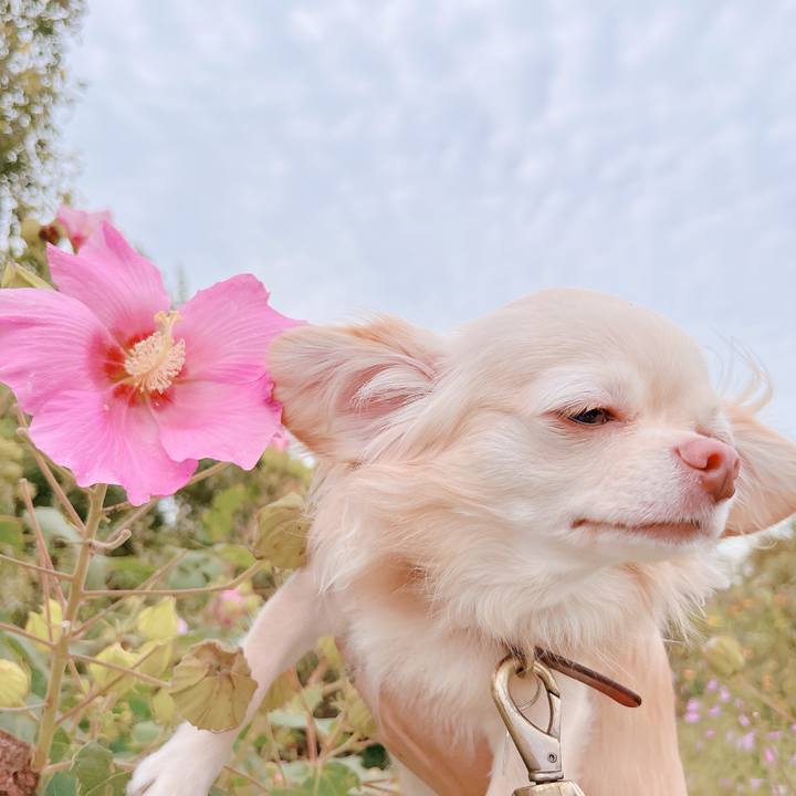 64d4631c a318 4725 bbab 104ddf54015a 1665298804463