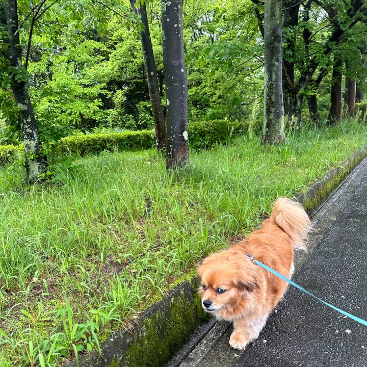 64d4ccc3 5840 49f8 bb08 2ea587a142d0 1682815173930