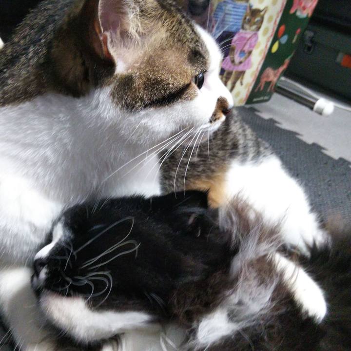 64d4d932 34a2 450b 99b0 a0945899bd71 1655627733363