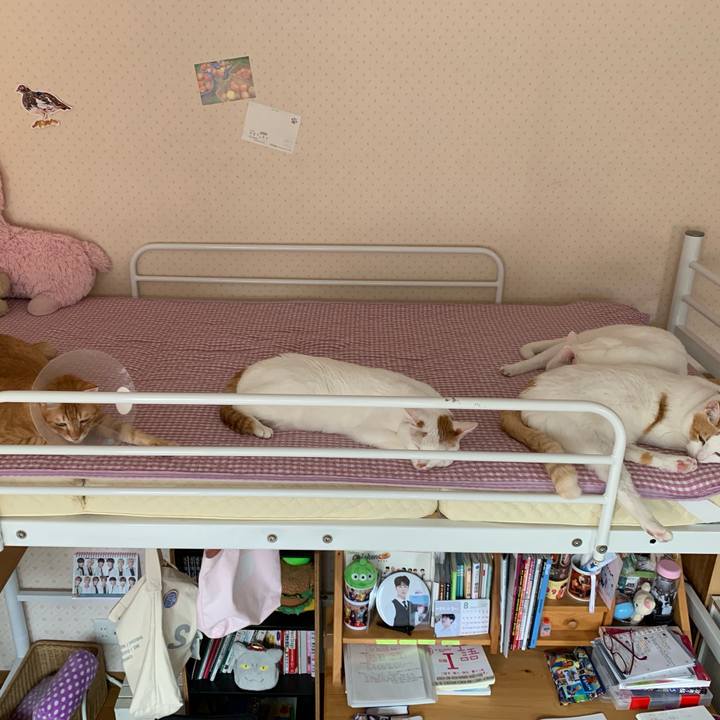 64d55ebb dd21 41b4 ab9b 6a567f29193c 1566703740082