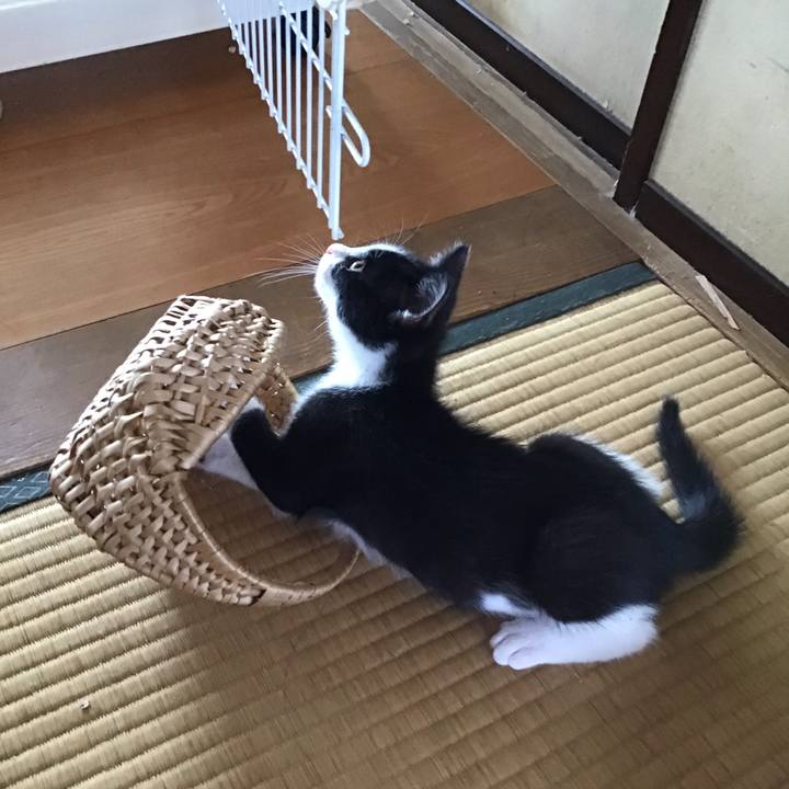 64d59c1c a367 457e b495 af92849c51fe 1624589558587