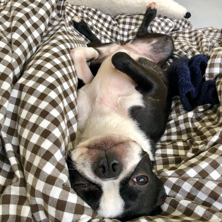 64d59d85 42fd 4914 81aa 65872628f116 1559196079902