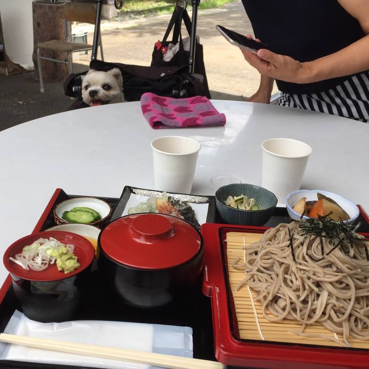 64d5afa3 db4b 4c31 8ffa 325d427f7583 1530427676240