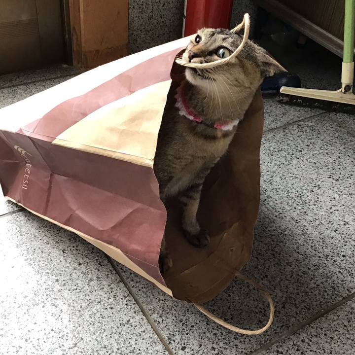 64d5d4e5 203b 417b 89ac b2e2853454b5 1593150176545