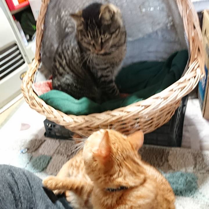 64d5d8a3 b9f3 41e5 b312 ea2b50f2bc42 1640993990790