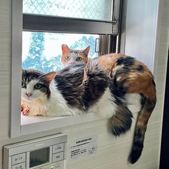 64d5eca4 88be 414f ac95 c10990eca61a 1722073276737