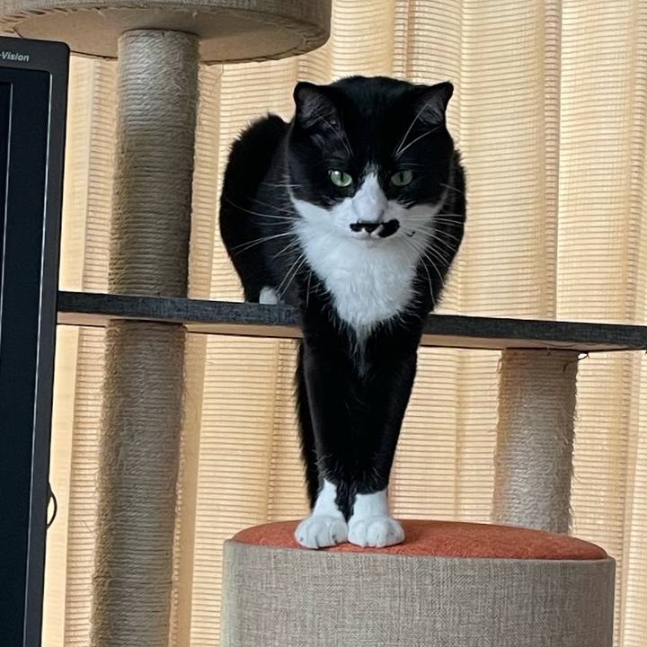 64d60515 2231 42e3 a3e8 668443a99144 1682646901876