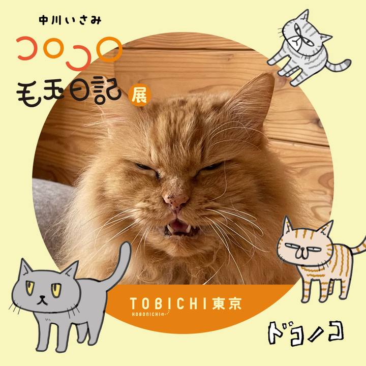 64d635a3 1c47 463b aae9 e73219011837 1740177272989