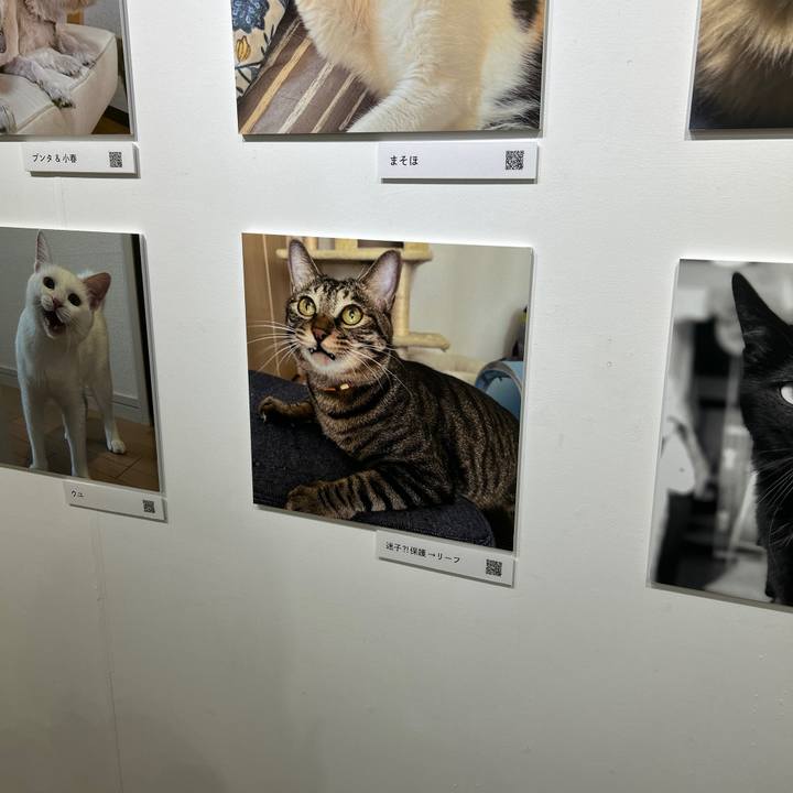 64d6360d 1c13 4797 bfd8 25e8b6edef2b 1762066834744