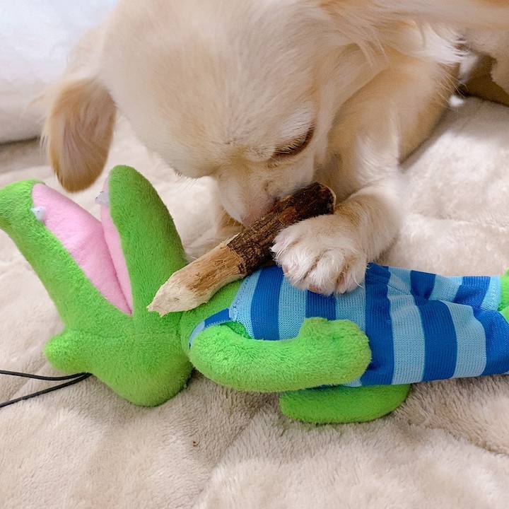 64d63691 de7f 43a6 9e24 040104e0dfe4 1615974268736