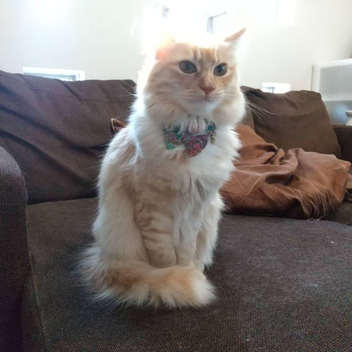 64d64f1d ac5e 4a67 a4c6 4b084793145e 1643766004489